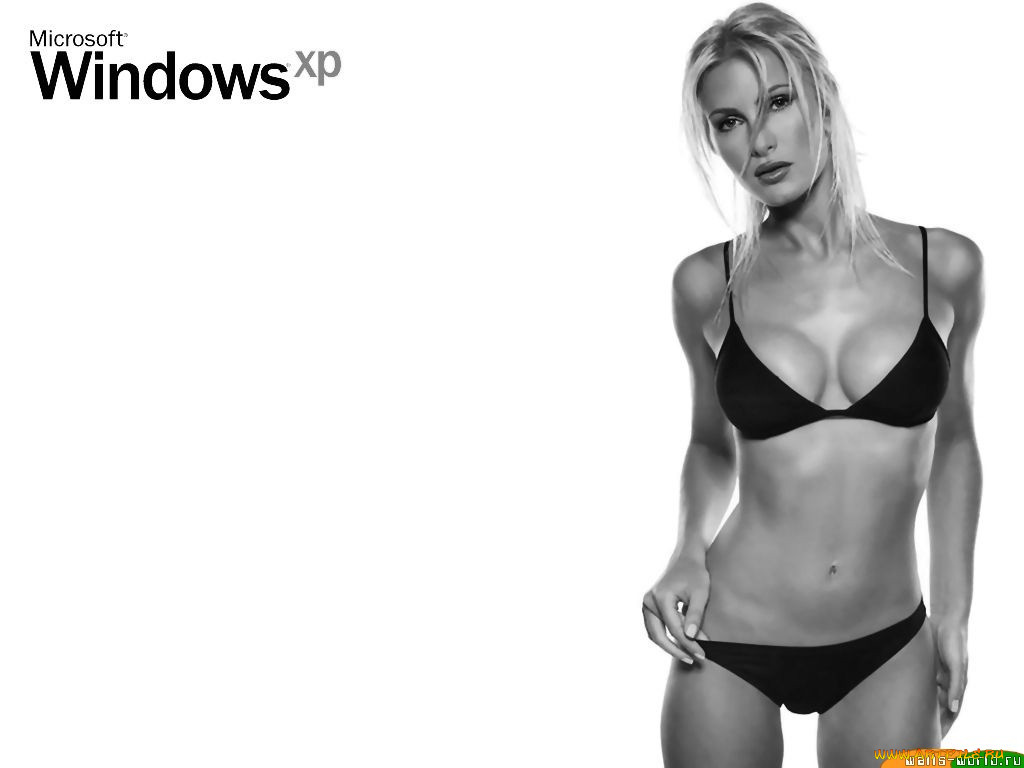 , windows, xp